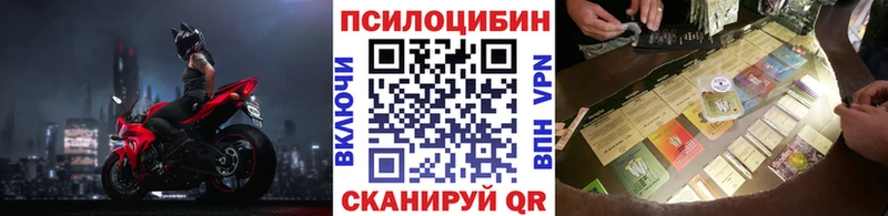 Псилоцибиновые грибы Cubensis  Мурманск 